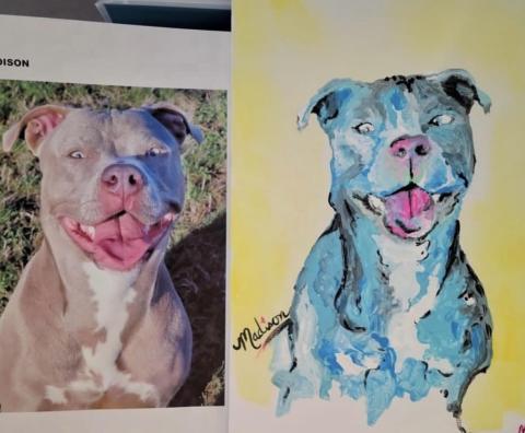 Help a shelter animal get adopted by painting them! Using paint & canvas We will paint adoptable animals from the North Fork Animal Welfare League. The portraits will make the perfect keepsake when they get adopted. 