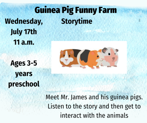 Story and live Guinea Pigs