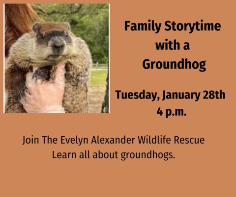 Learn about Grounhogs and meet this grounhog from the rescue