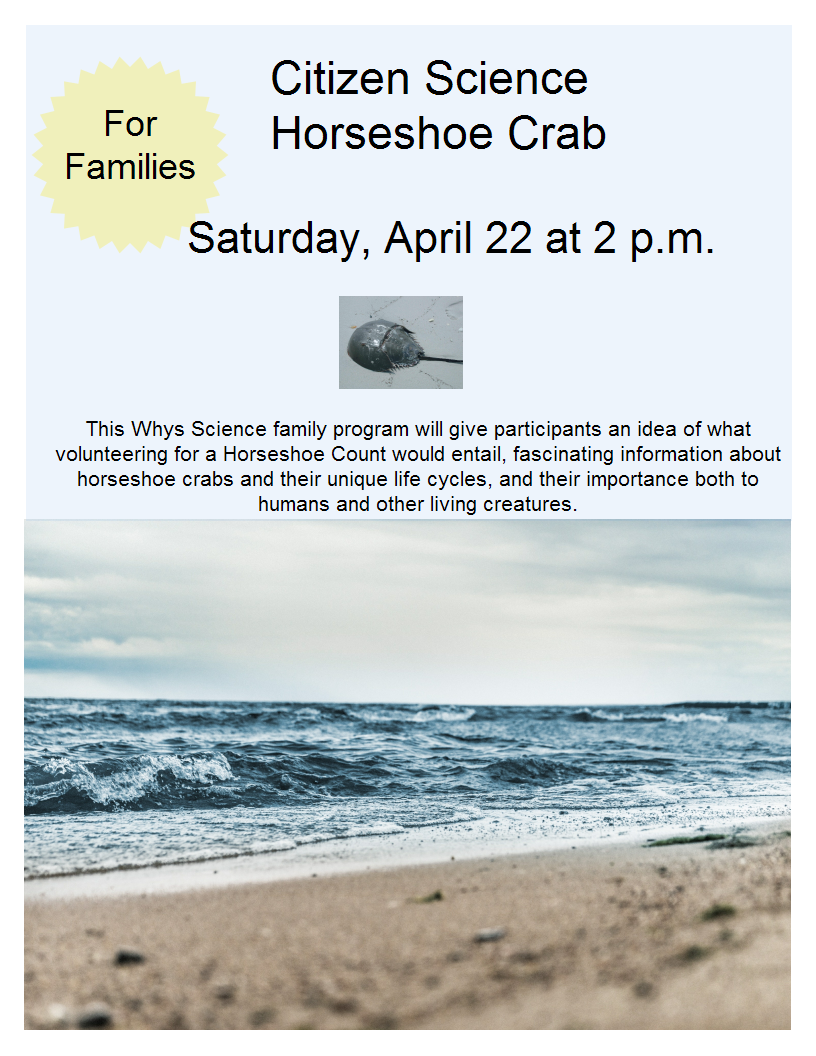 Learn about the Horseshoe Crab