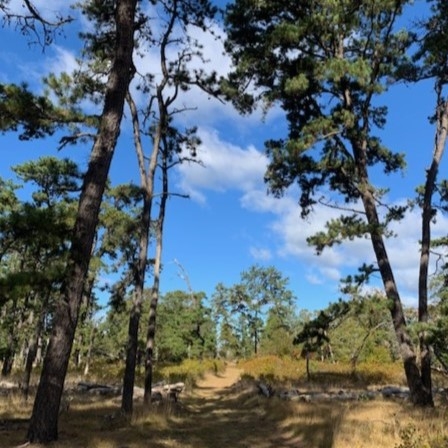 Hubbard County Park