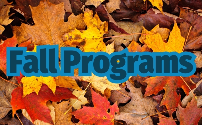 fall programs teen